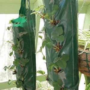 Hanging Grow Bags (5 Hole) - Containers