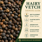 Hairy Vetch seed