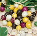 Halloween Mix, Radish Seeds