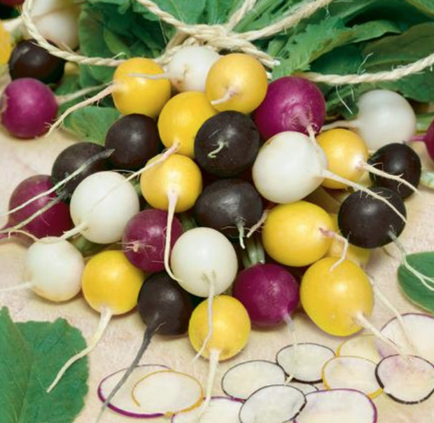 Halloween Mix, Radish Seeds