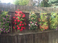 Hanging Grow Bags (5 Hole) - Containers