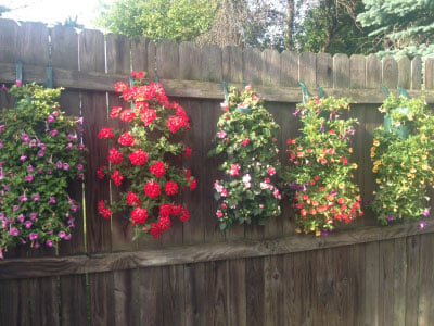 Hanging Grow Bags (5 Hole) - Containers