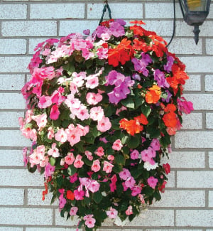 Hanging Flower Pouch, Containers