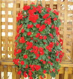 Hanging Grow Bags (5 Hole) - Containers