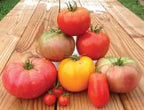 Heirloom Blend, Tomato Seeds