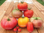 Heirloom Blend, Tomato Seeds