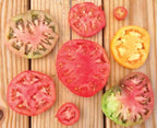 Heirloom Blend, Tomato Seeds
