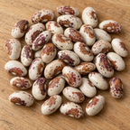 Hidatsa Shield, Bean Seeds