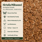 Hirtella Milkweed growing attributes
