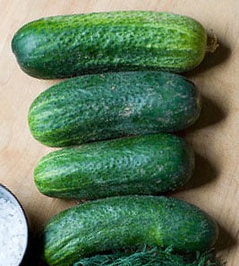 Homemade Pickles, Cucumber Seeds