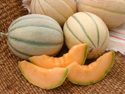 Honey Rock, Melon Seeds