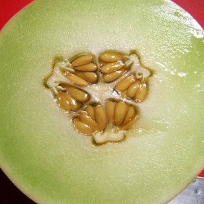 Honeydew Green Flesh, Melon Seeds