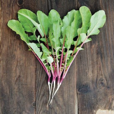 Hong Vit, Organic Radish Seed