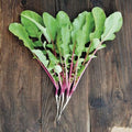 Hong Vit, Organic Radish Seed