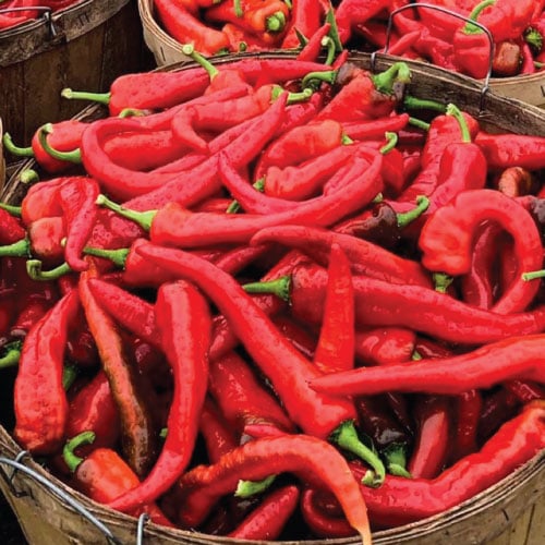 Hot Portugal, Pepper Seeds