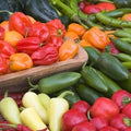 Hot and Happy Mix, Pepper Seed