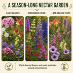 Hummingbird Wildflower Seeds and Plants
