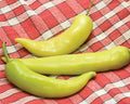 Sweet Hungarian Wax, Pepper Seeds