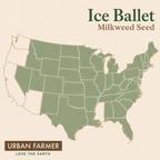 Ice Ballet Milkweed native range