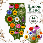 Illinois Blend, Wildflower Seed