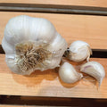Inchelium Red, Garlic