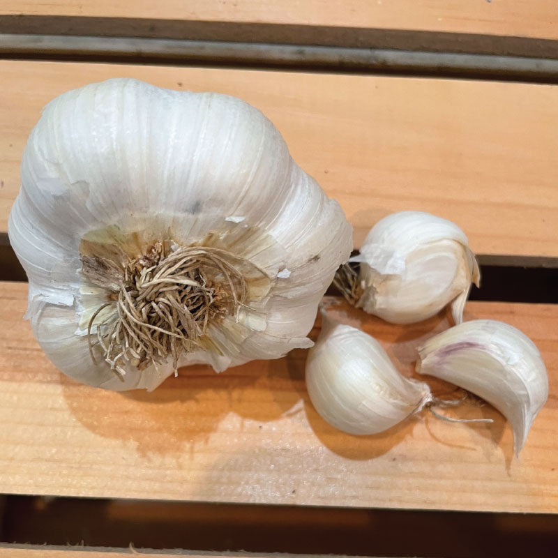 Inchelium Red, Garlic
