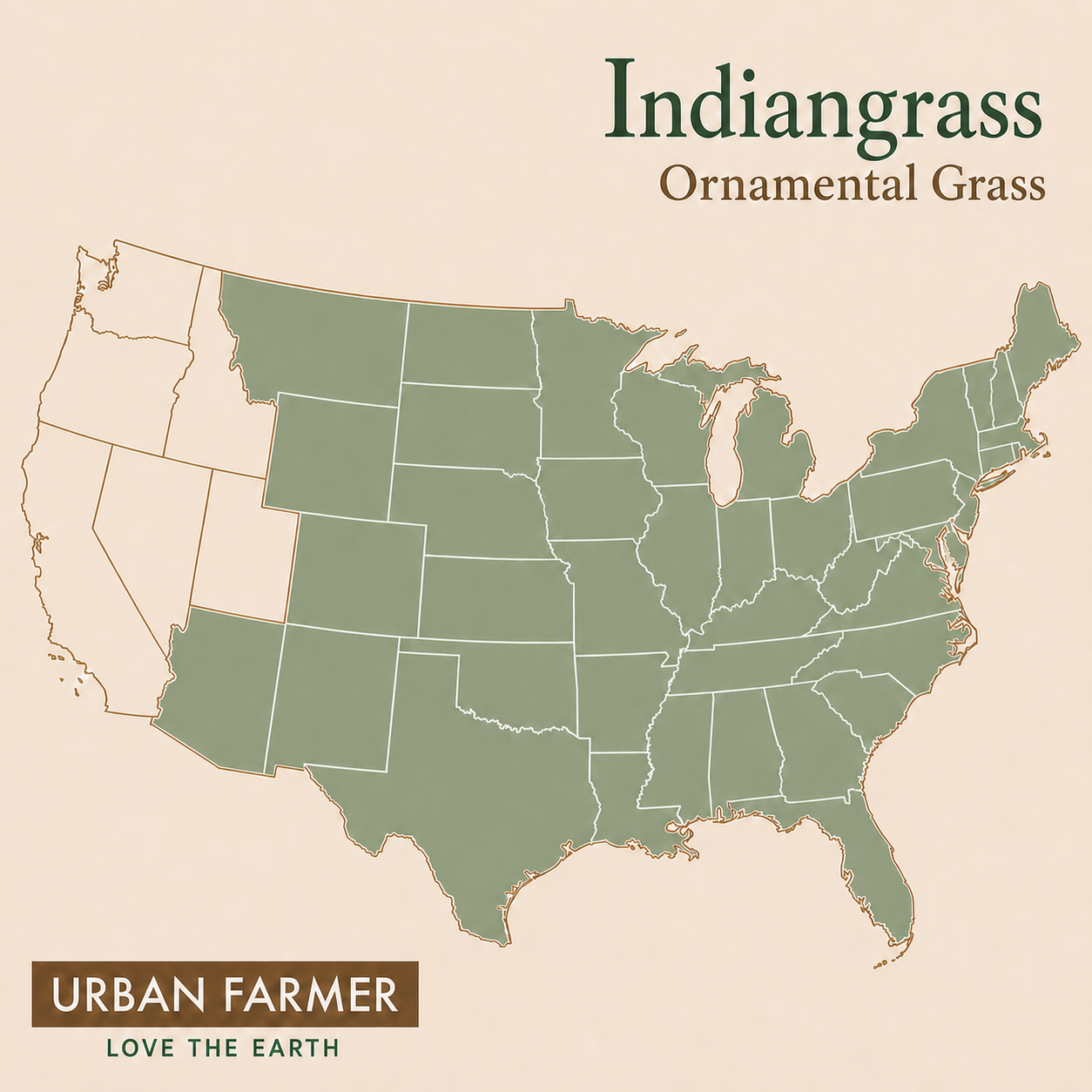Indiangrass ornamental grass native map