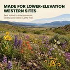Intermountain Western State Wildflower