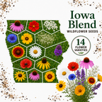 Iowa Blend, Wildflower Seed