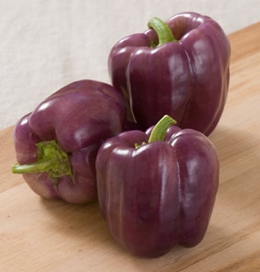Islander, (F1) Pepper Seeds