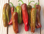 Pepperoncini Italian, Pepper Seeds