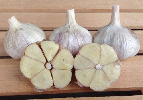 Italian Red, Garlic Bulbs
