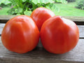 Italian Heirloom, Tomato Seeds