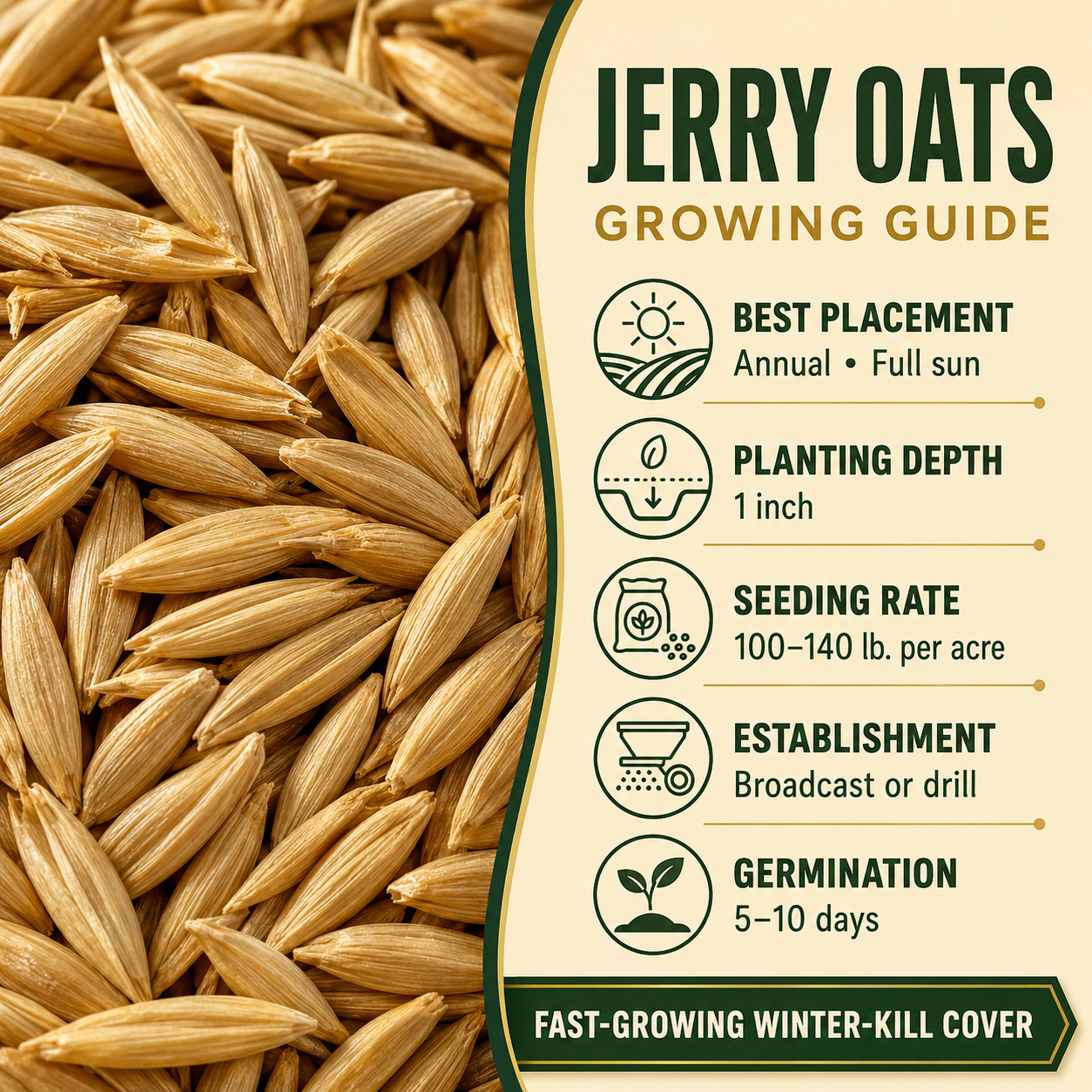 Jerry Oats growing guide and seed
