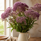 Joe Pye Weed cut flowers