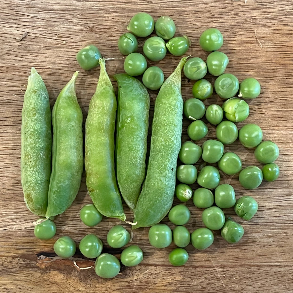 Jumpstart, Pea Seeds