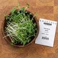 Kale, Sprout Seeds