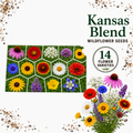 Kansas Blend, Wildflower Seed