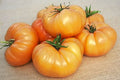 Kellogg's Breakfast, Tomato Seeds
