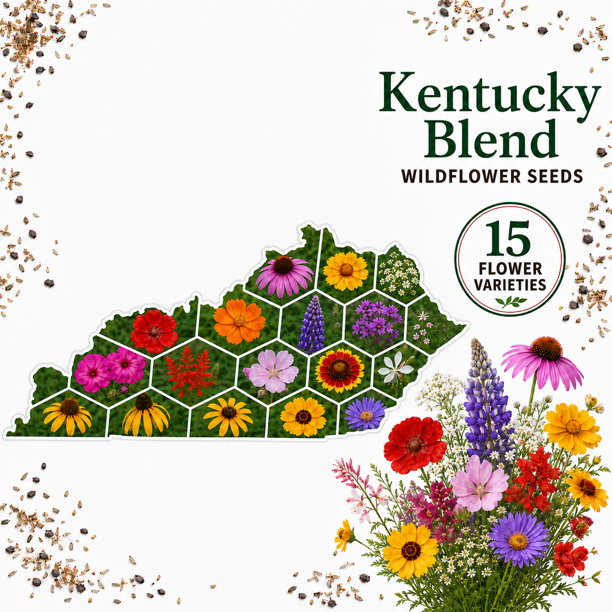 Kentucky Blend, Wildflower Seed