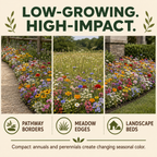 Knee High Flowers for Borders