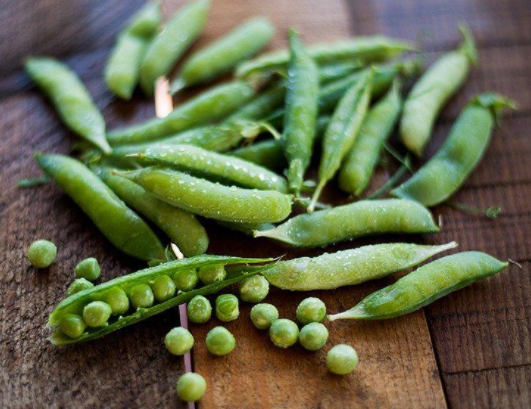 Knight, Pea Seeds