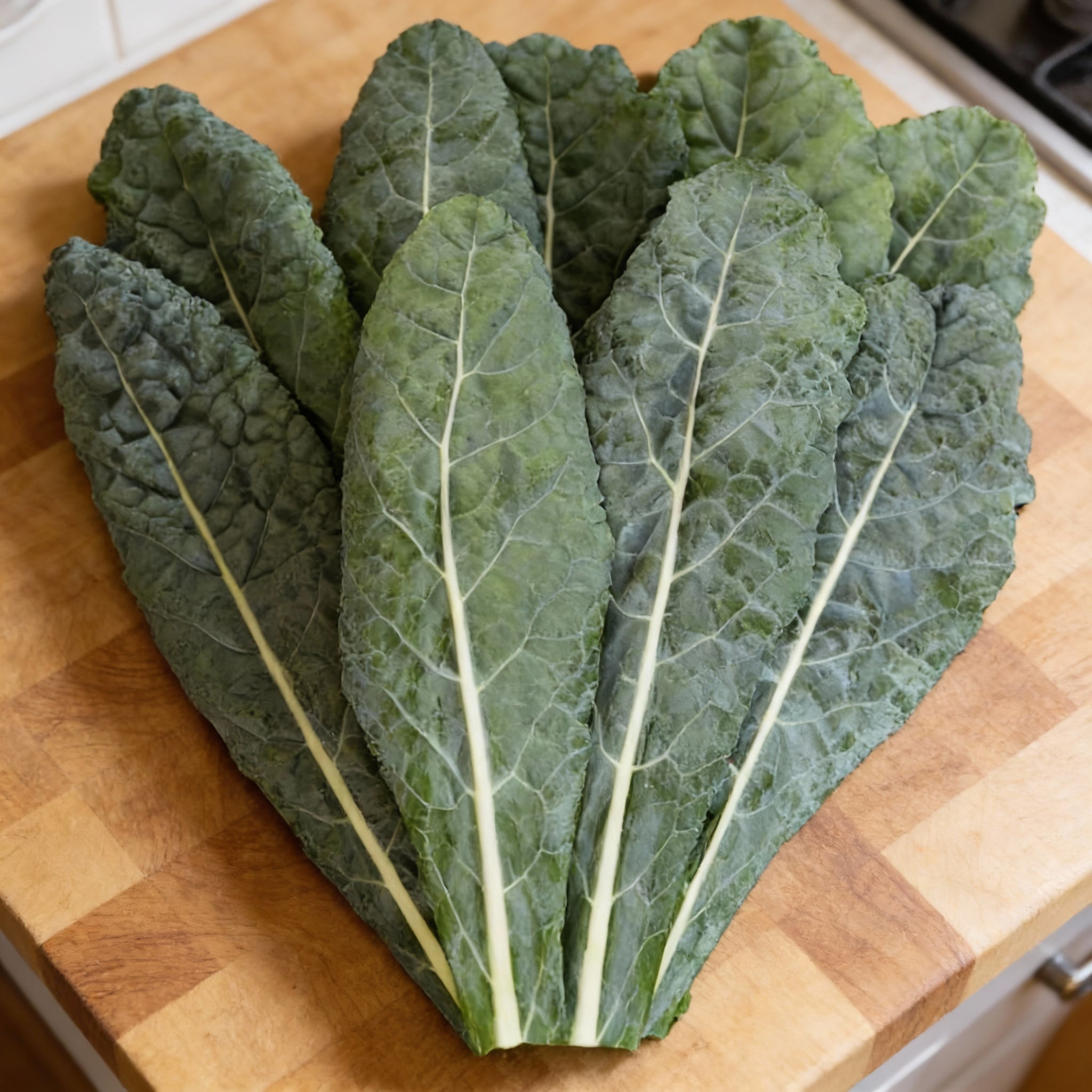 Lacinato, Organic Kale Seed
