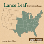 Lance Leaf Coreopsis native range
