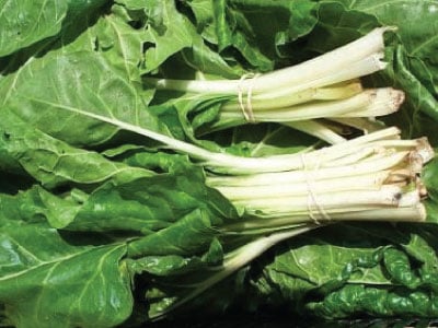 Large White Ribbed, Swiss Chard Seeds