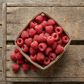 Latham Red, Raspberry Plants