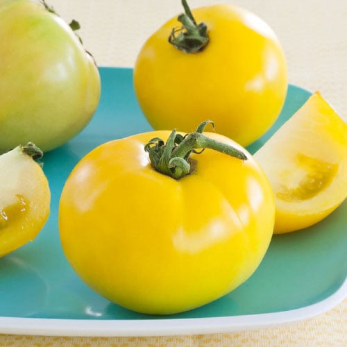 Lemon Boy Plus, (F1) Tomato Seeds