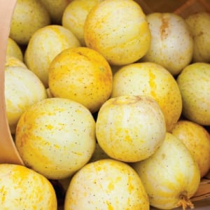 Lemon, Cucumber Seeds
