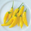 Lemon Drop, Pepper Seeds