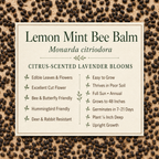 Lemon Mint Bee Balm growing attributes